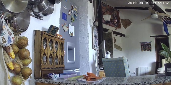 R2D2 watching Fridge Cam