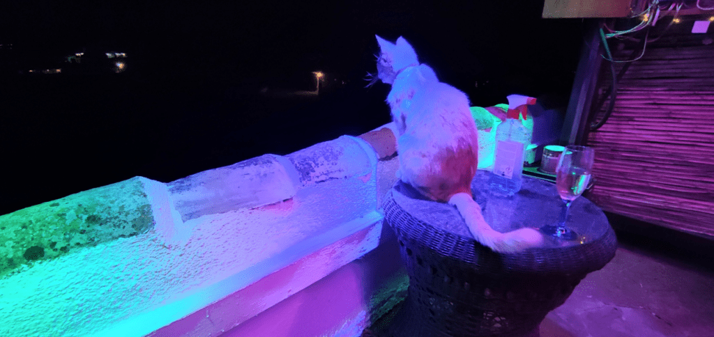 Simba-approved lighting